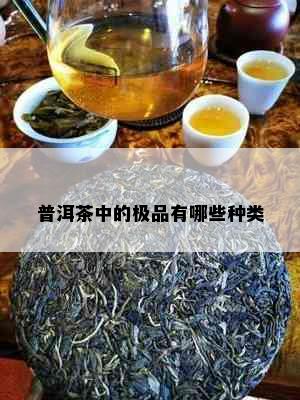 普洱茶中的极品有哪些种类