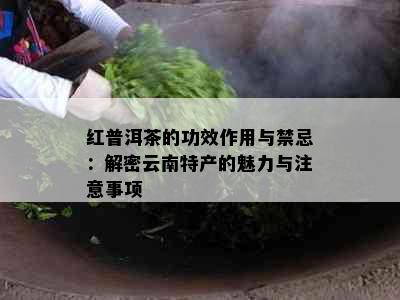 红普洱茶的功效作用与禁忌：解密云南特产的魅力与注意事项