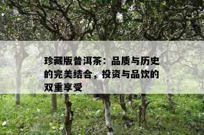 珍藏版普洱茶：品质与历史的完美结合，投资与品饮的双重享受