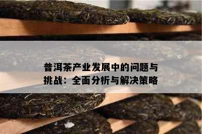 普洱茶产业发展中的问题与挑战：全面分析与解决策略