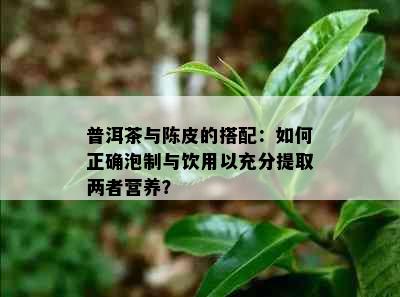 普洱茶与陈皮的搭配：如何正确泡制与饮用以充分提取两者营养？