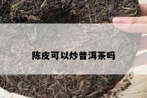 陈皮可以炒普洱茶吗