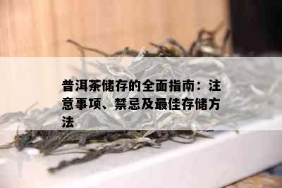 普洱茶储存的全面指南：注意事项、禁忌及更佳存储方法