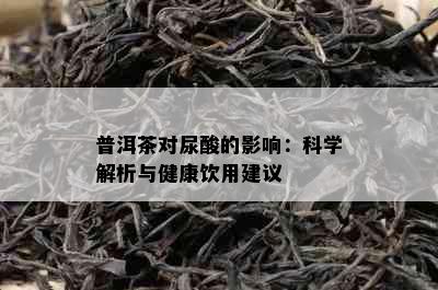 普洱茶对尿酸的影响：科学解析与健康饮用建议