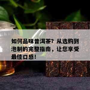 如何品味普洱茶？从选购到泡制的完整指南，让您享受更佳口感！