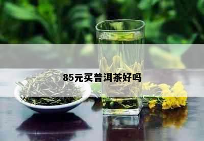 85元买普洱茶好吗