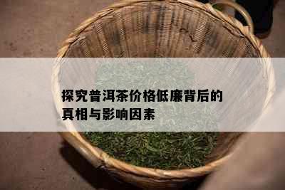 探究普洱茶价格低廉背后的真相与影响因素