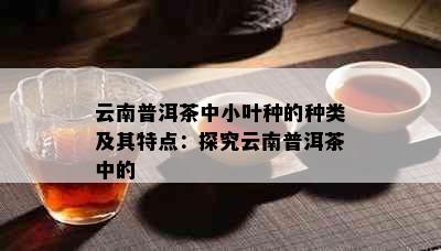 云南普洱茶中小叶种的种类及其特点：探究云南普洱茶中的