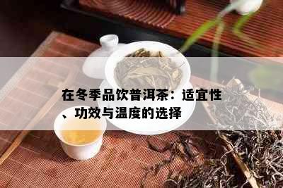 在冬季品饮普洱茶：适宜性、功效与温度的选择