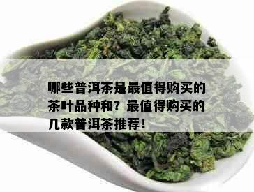 哪些普洱茶是最值得购买的茶叶品种和？最值得购买的几款普洱茶推荐！