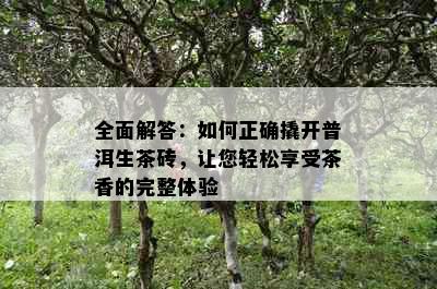 全面解答：如何正确撬开普洱生茶砖，让您轻松享受茶香的完整体验