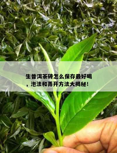 生普洱茶砖怎么保存更好喝，泡法和弄开方法大揭秘！