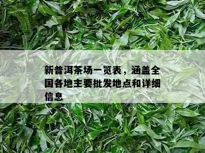 新普洱茶场一览表，涵盖全国各地主要批发地点和详细信息