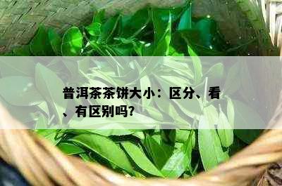 普洱茶茶饼大小：区分、看、有区别吗？