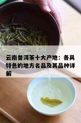 云南普洱茶十大产地：各具特色的地方名品及其品种详解