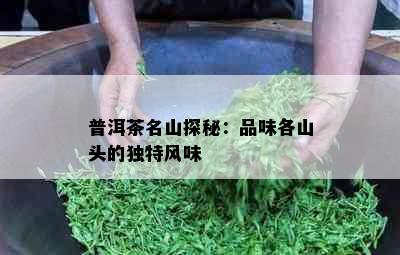 普洱茶名山探秘：品味各山头的独特风味