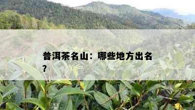 普洱茶名山：哪些地方出名？