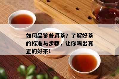 如何品鉴普洱茶？了解好茶的标准与步骤，让你喝出真正的好茶！