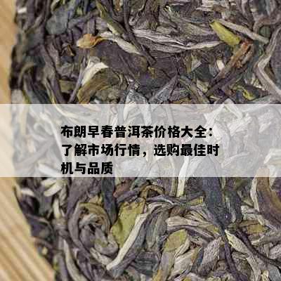 布朗早春普洱茶价格大全：了解市场行情，选购更佳时机与品质