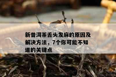 新普洱茶舌头发麻的原因及解决方法，7个你可能不知道的关键点