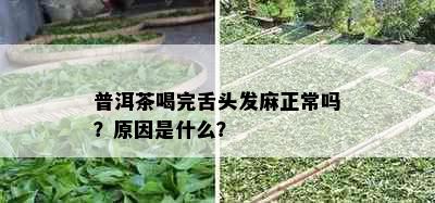 普洱茶喝完舌头发麻正常吗？原因是什么？