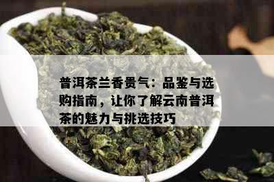 普洱茶兰香贵气：品鉴与选购指南，让你了解云南普洱茶的魅力与挑选技巧