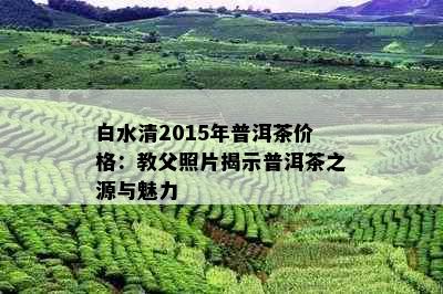 白水清2015年普洱茶价格：教父照片揭示普洱茶之源与魅力