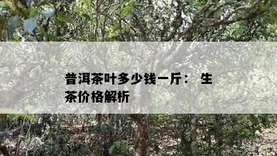 普洱茶叶多少钱一斤： 生茶价格解析