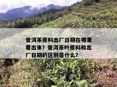 普洱茶原料出厂日期在哪里看出来？普洱茶叶原料和出厂日期的区别是什么？