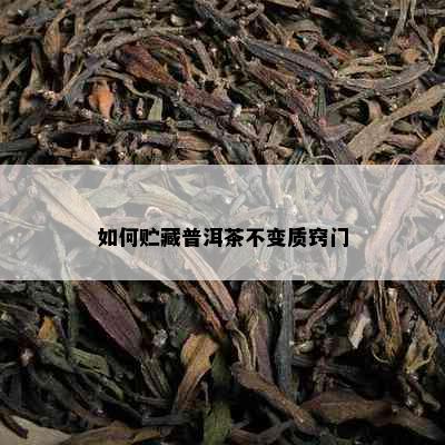 如何贮藏普洱茶不变质窍门