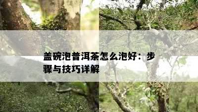 盖碗泡普洱茶怎么泡好：步骤与技巧详解