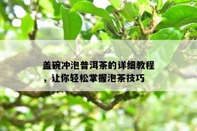 盖碗冲泡普洱茶的详细教程，让你轻松掌握泡茶技巧