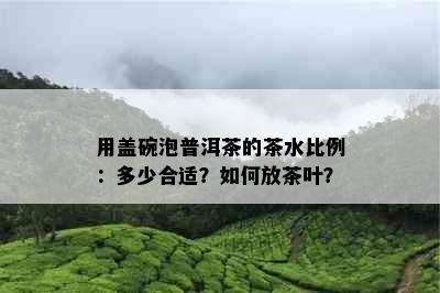 用盖碗泡普洱茶的茶水比例：多少合适？如何放茶叶？