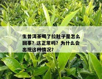 生普洱茶喝了拉肚子是怎么回事？这正常吗？为什么会出现这种情况？