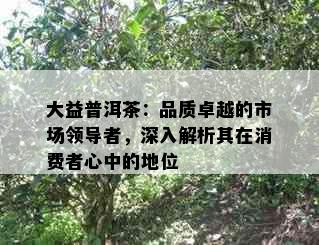 大益普洱茶：品质卓越的市场领导者，深入解析其在消费者心中的地位