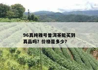 96真纯雅号普洱茶能买到真品吗？价格是多少？