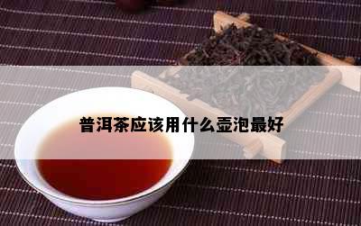 普洱茶应该用什么壶泡更好