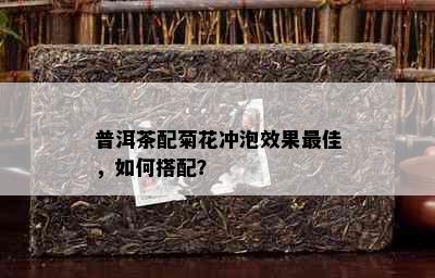 普洱茶配菊花冲泡效果更佳，如何搭配？