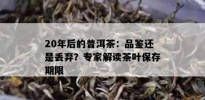 20年后的普洱茶：品鉴还是丢弃？专家解读茶叶保存期限