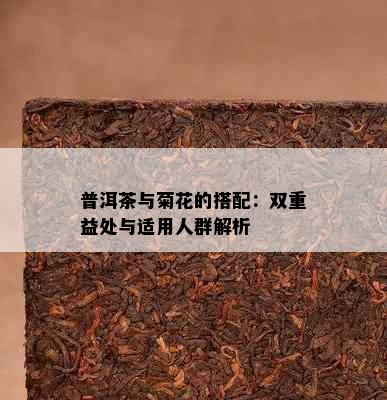 普洱茶与菊花的搭配：双重益处与适用人群解析