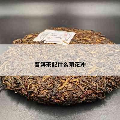 普洱茶配什么菊花冲