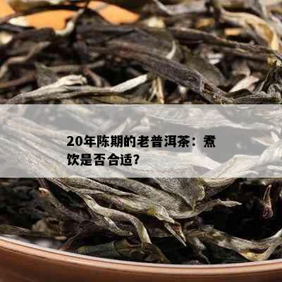 20年陈期的老普洱茶：煮饮是否合适？