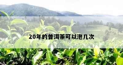 20年的普洱茶可以泡几次