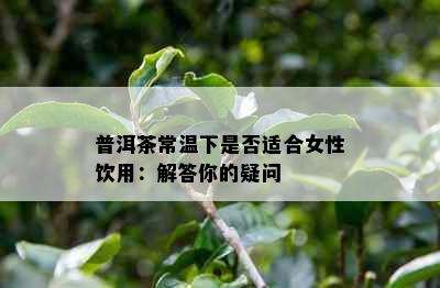 普洱茶常温下是否适合女性饮用：解答你的疑问