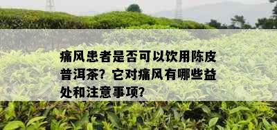 痛风患者是否可以饮用陈皮普洱茶？它对痛风有哪些益处和注意事项？