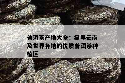 普洱茶产地大全：探寻云南及世界各地的优质普洱茶种植区