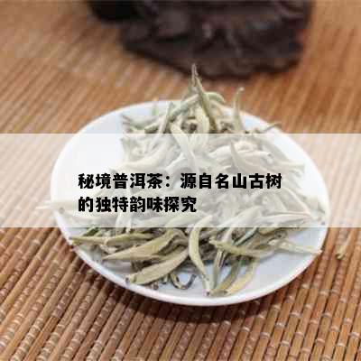 秘境普洱茶：源自名山古树的独特韵味探究