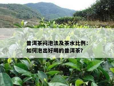 普洱茶闷泡法及茶水比例：如何泡出好喝的普洱茶？