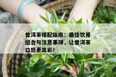 普洱茶搭配指南：更佳饮用组合与注意事项，让普洱茶口感更出彩！