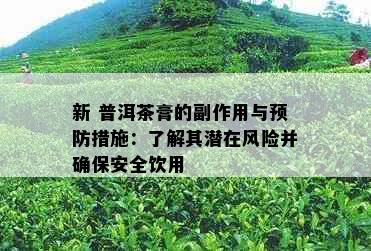 新 普洱茶膏的副作用与预防措施：了解其潜在风险并确保安全饮用